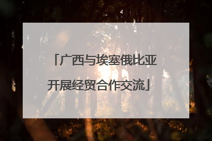 广西与埃塞俄比亚开展经贸合作交流