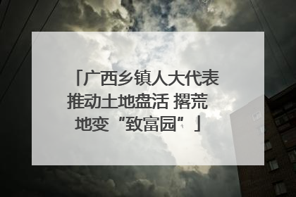广西乡镇人大代表推动土地盘活 撂荒地变“致富园”