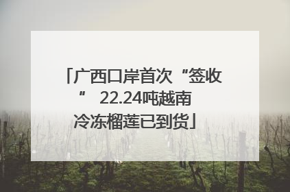 广西口岸首次“签收” 22.24吨越南冷冻榴莲已到货
