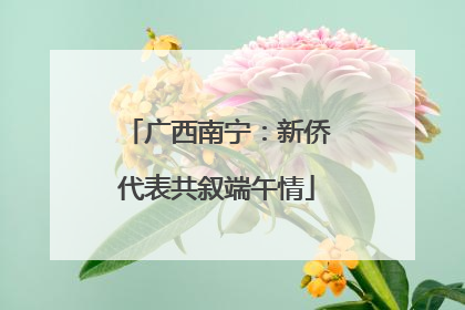 广西南宁：新侨代表共叙端午情