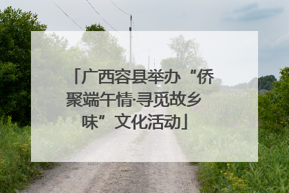 广西容县举办“侨聚端午情·寻觅故乡味”文化活动