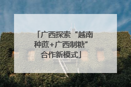 广西探索“越南种蔗+广西制糖”合作新模式