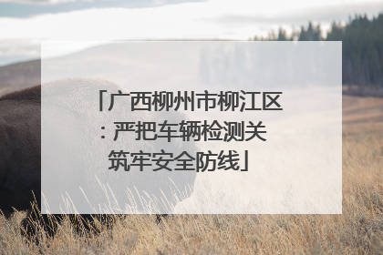 广西柳州市柳江区：严把车辆检测关 筑牢安全防线