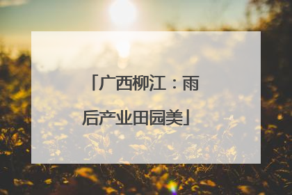 广西柳江：雨后产业田园美
