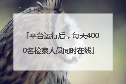 平台运行后，每天4000名检察人员同时在线