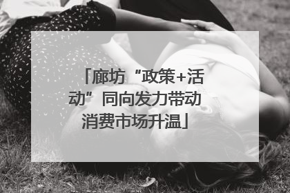 廊坊“政策+活动”同向发力带动消费市场升温