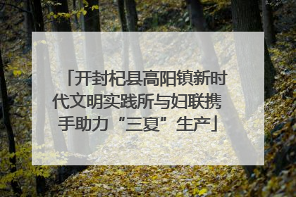 开封杞县高阳镇新时代文明实践所与妇联携手助力“三夏”生产
