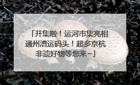 开集啦！运河市集亮相通州漕运码头！超多京杭非遗好物等您来~