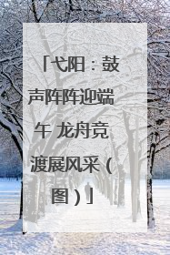 弋阳：鼓声阵阵迎端午 龙舟竞渡展风采（图）