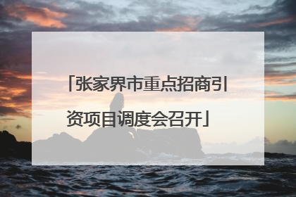 张家界市重点招商引资项目调度会召开