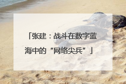 张建：战斗在数字蓝海中的“网络尖兵”