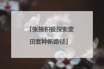 张掖积极探索麦田套种新路径