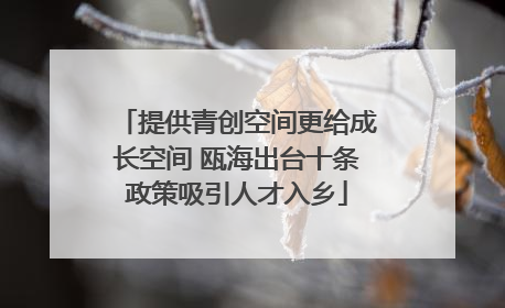 提供青创空间更给成长空间 瓯海出台十条政策吸引人才入乡
