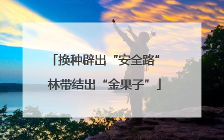 换种辟出“安全路” 林带结出“金果子”