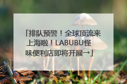 排队预警！全球顶流来上海啦！LABUBU怪味便利店即将开展→