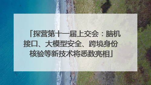 探营第十一届上交会：脑机接口、大模型安全、跨境身份核验等新技术将悉数亮相