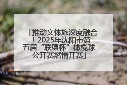 推动文体旅深度融合！2025年沈阳市第五届“联盟杯”橄榄球公开赛燃情开赛
