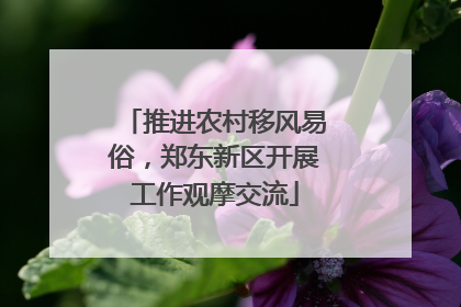 推进农村移风易俗，郑东新区开展工作观摩交流