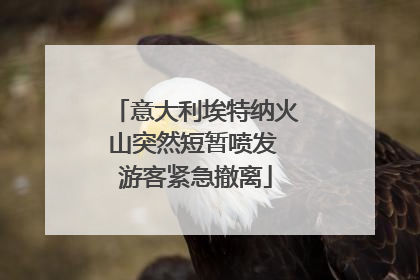 意大利埃特纳火山突然短暂喷发 游客紧急撤离
