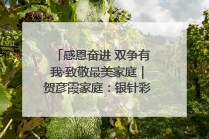 感恩奋进 双争有我·致敬最美家庭｜贺彦霞家庭：银针彩线绣出好日子