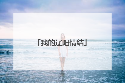 我的辽阳情结