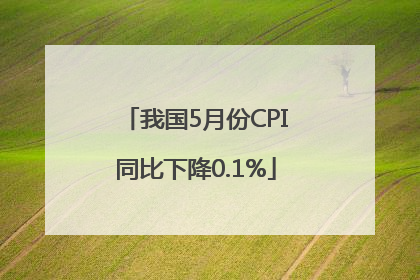 我国5月份CPI同比下降0.1%