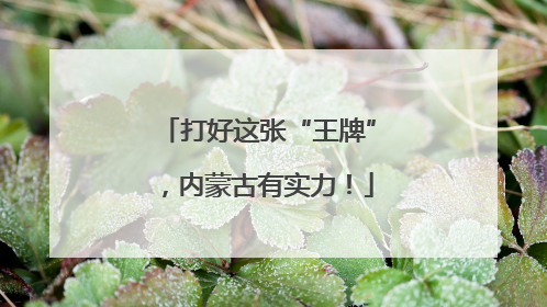 打好这张“王牌”，内蒙古有实力！