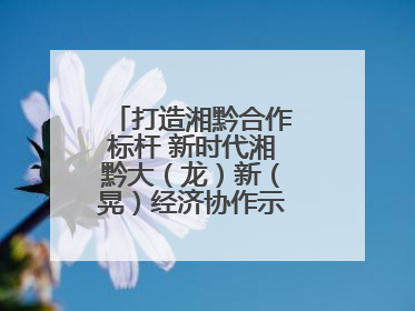 打造湘黔合作标杆 新时代湘黔大（龙）新（晃）经济协作示范园建设签约