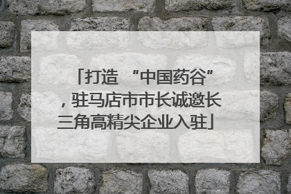 打造 “中国药谷”，驻马店市市长诚邀长三角高精尖企业入驻