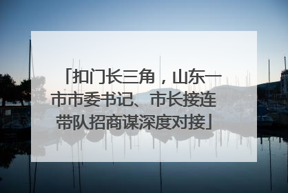 扣门长三角，山东一市市委书记、市长接连带队招商谋深度对接