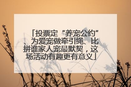 投票定“养宠公约”、为爱宠做牵引绳、比拼谁家人宠最默契，这场活动有趣更有意义