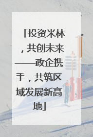 投资米林，共创未来——政企携手，共筑区域发展新高地
