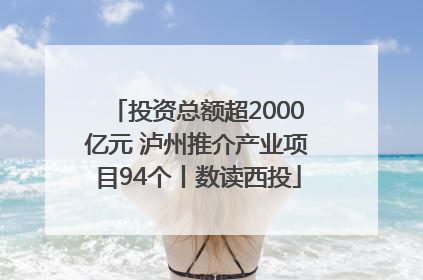 投资总额超2000亿元 泸州推介产业项目94个丨数读西投