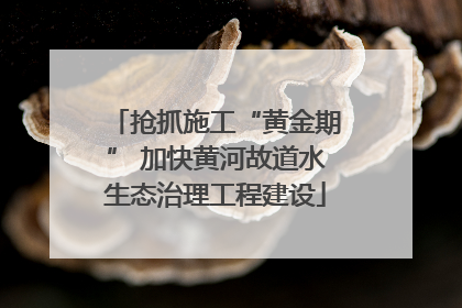 抢抓施工“黄金期” 加快黄河故道水生态治理工程建设