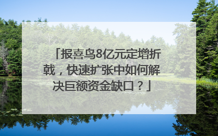 报喜鸟8亿元定增折戟，快速扩张中如何解决巨额资金缺口？