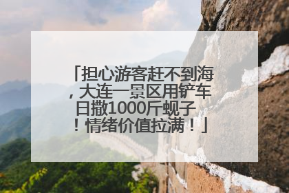 担心游客赶不到海，大连一景区用铲车日撒1000斤蚬子！情绪价值拉满！