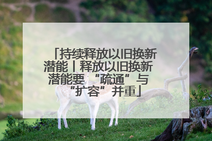 持续释放以旧换新潜能丨释放以旧换新潜能要 “疏通”与“扩容”并重