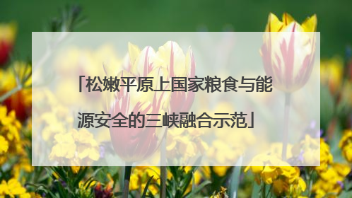 松嫩平原上国家粮食与能源安全的三峡融合示范