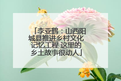 李亚鹤：山西阳城县推进乡村文化记忆工程 这里的乡土故事很动人