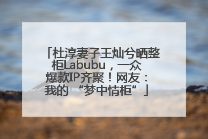 杜淳妻子王灿兮晒整柜Labubu，一众爆款IP齐聚！网友：我的 “梦中情柜”