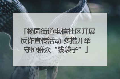 杨园街道电信社区开展反诈宣传活动 多措并举守护群众“钱袋子”