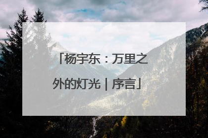 杨宇东：万里之外的灯光｜序言