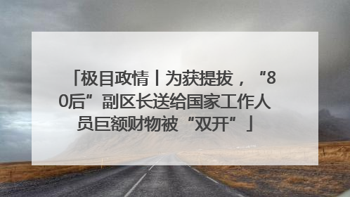 极目政情丨为获提拔，“80后”副区长送给国家工作人员巨额财物被“双开”