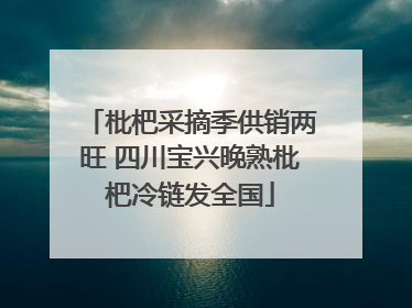 枇杷采摘季供销两旺 四川宝兴晚熟枇杷冷链发全国