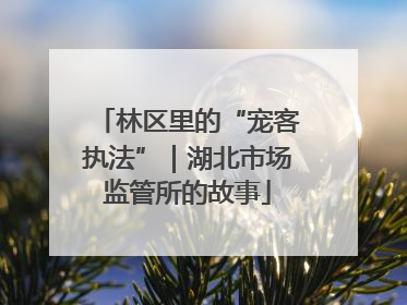 林区里的“宠客执法”｜湖北市场监管所的故事
