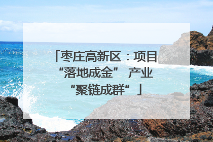枣庄高新区：项目“落地成金” 产业“聚链成群”