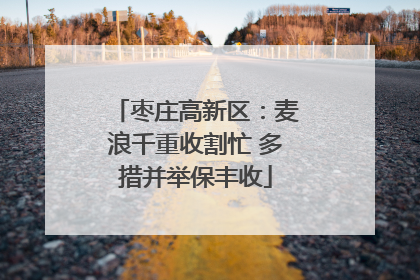 枣庄高新区：麦浪千重收割忙 多措并举保丰收