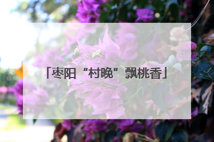 枣阳“村晚”飘桃香