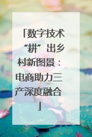 数字技术“耕”出乡村新图景：电商助力三产深度融合