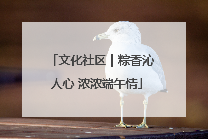 文化社区｜粽香沁人心 浓浓端午情
